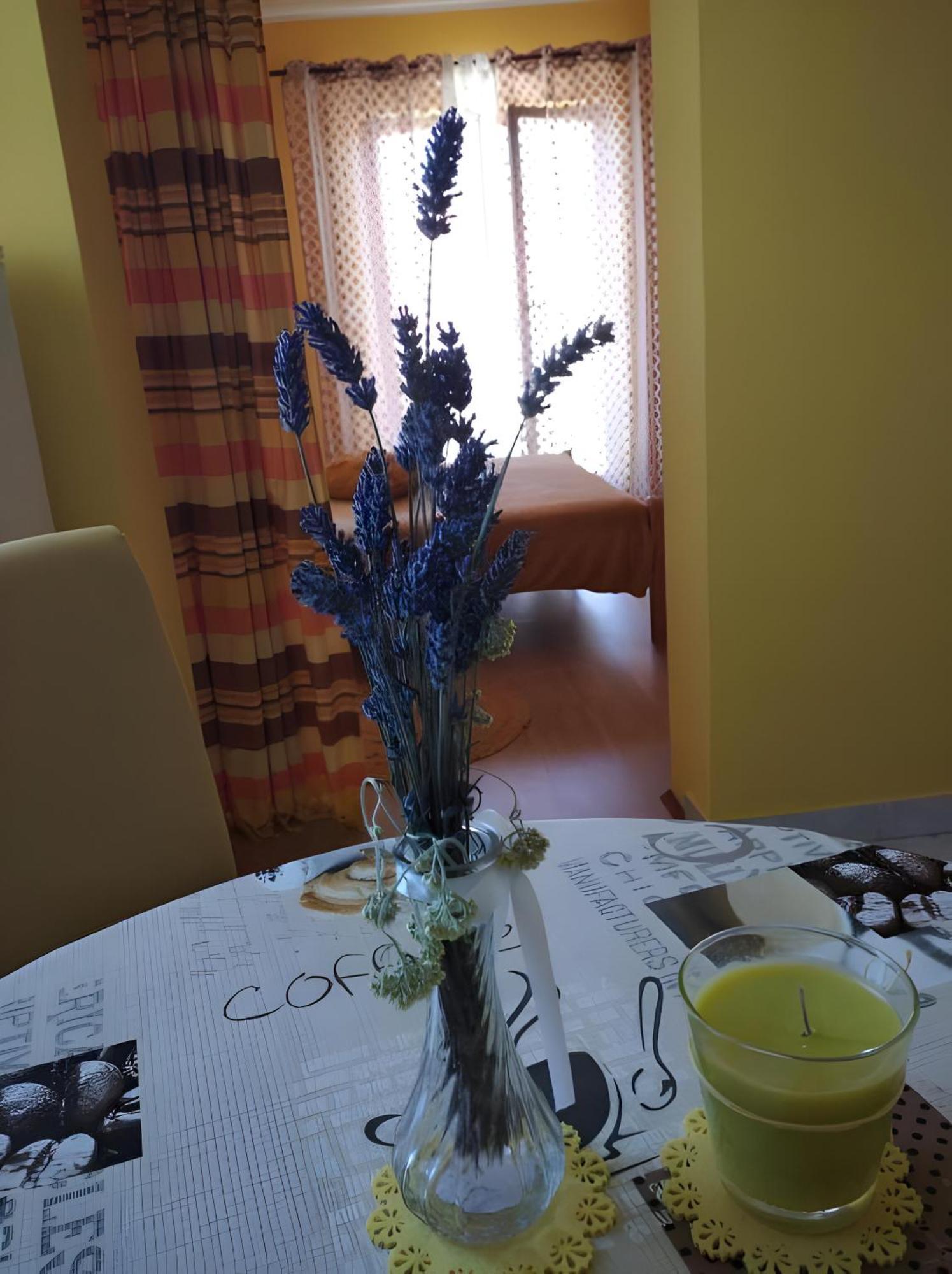 Cozy Apartments Danica Novalja With Terrace - First Floor Exterior photo