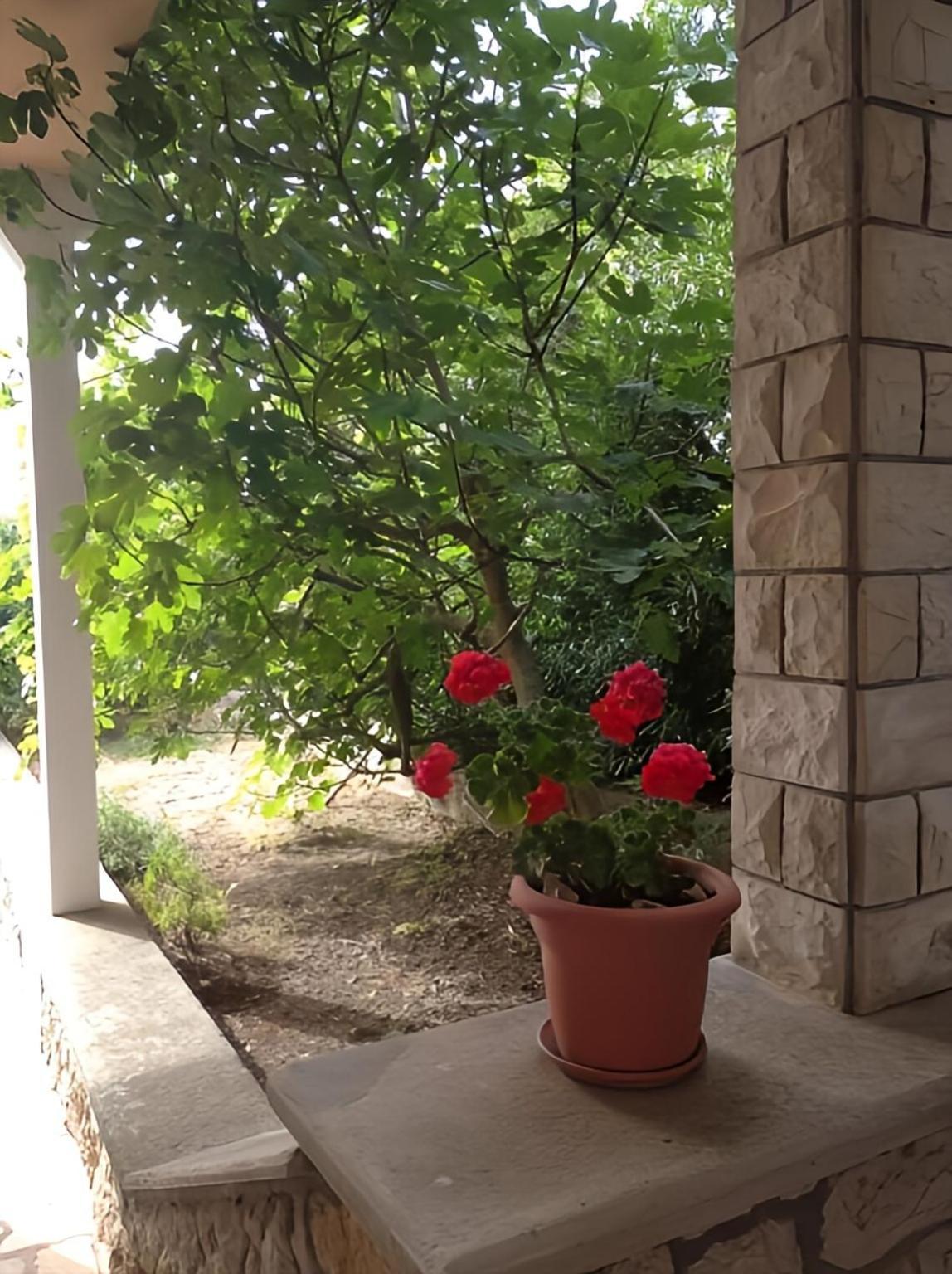 Cozy Apartments Danica Novalja With Terrace - First Floor Exterior photo